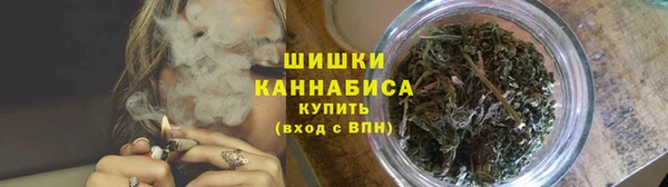 ГАЛЛЮЦИНОГЕННЫЕ ГРИБЫ Абаза