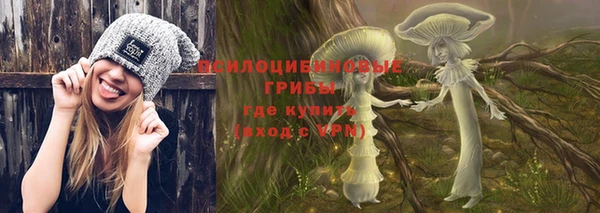 ГАЛЛЮЦИНОГЕННЫЕ ГРИБЫ Абаза