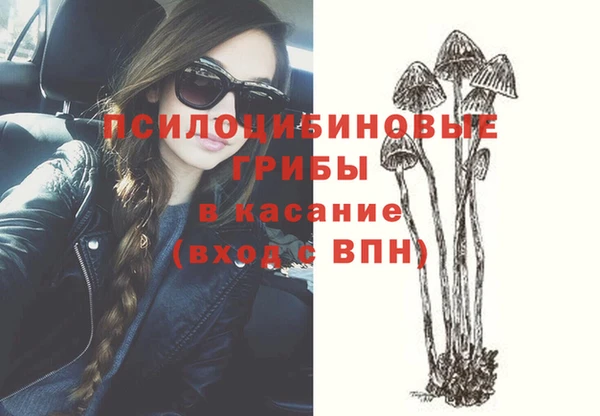 ГАЛЛЮЦИНОГЕННЫЕ ГРИБЫ Абаза