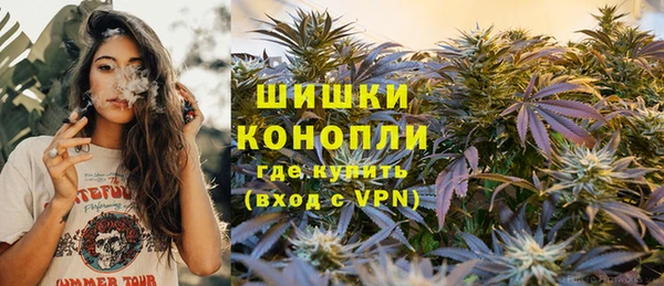 ГАЛЛЮЦИНОГЕННЫЕ ГРИБЫ Абаза
